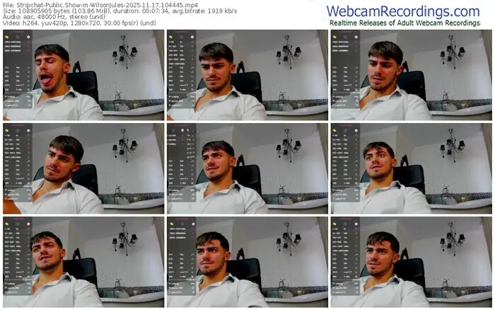 stripchat-wilsonjules-11-17-2025-10-44-45