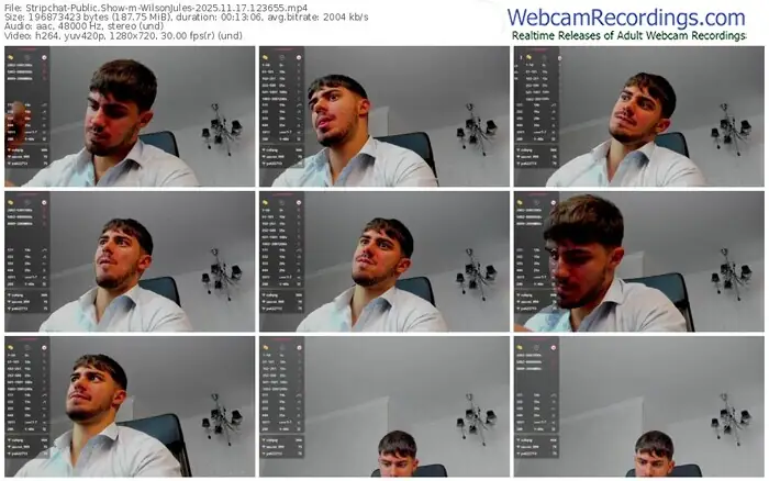 stripchat-wilsonjules-11-17-2025-12-36-55