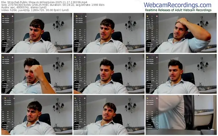 stripchat-wilsonjules-11-17-2025-13-03-39