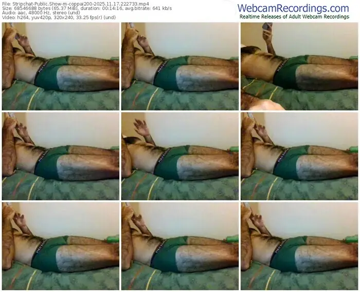 stripchat-coppai200-11-17-2025-22-27-33