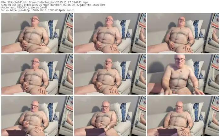 stripchat-dantes_lion-11-17-2025-09-47-41