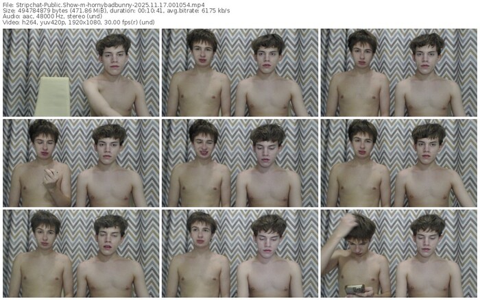 stripchat-hornybadbunny-11-17-2025-00-10-54