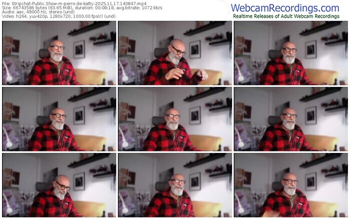 stripchat-perro-de-katty-11-17-2025-14-08-47