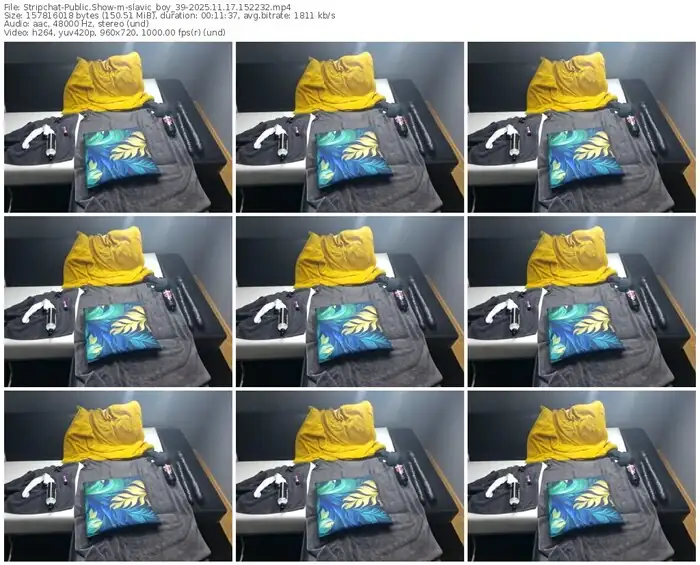 stripchat-slavic_boy_39-11-17-2025-15-22-32