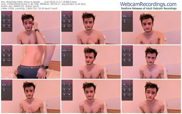 stripchat-spider____man-11-17-2025-20-48-10