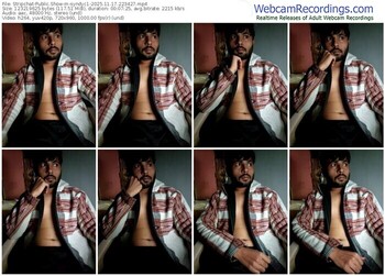 stripchat-syndyc1-11-17-2025-22-34-27