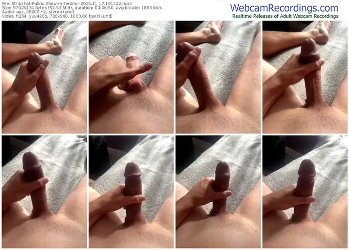 stripchat-teramir-11-17-2025-10-14-22