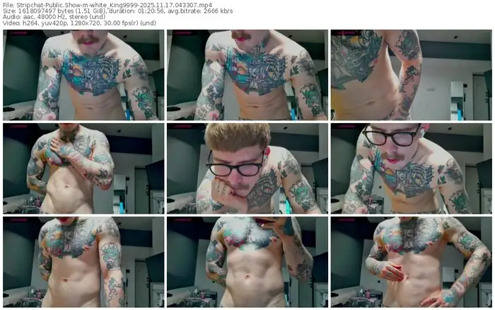 stripchat-white_king9999-11-17-2025-04-33-07