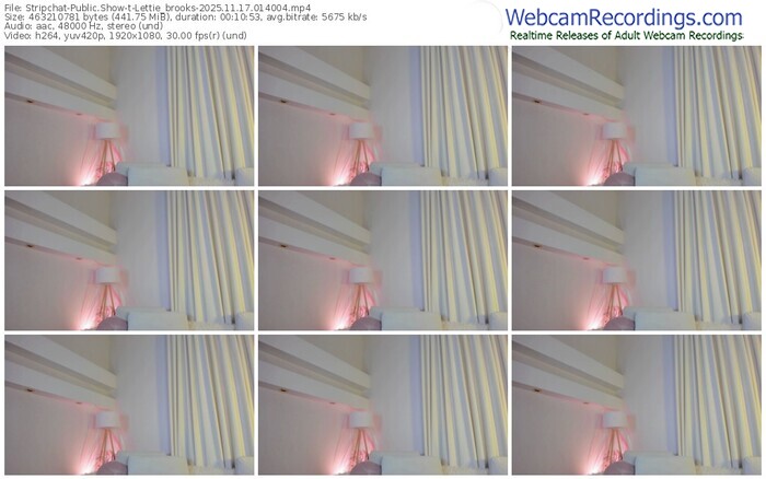 stripchat-lettie_brooks-11-17-2025-01-40-04
