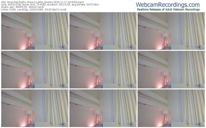 stripchat-lettie_brooks-11-17-2025-01-40-04