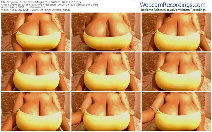 stripchat-bigasstitt-11-18-2025-11-21-16