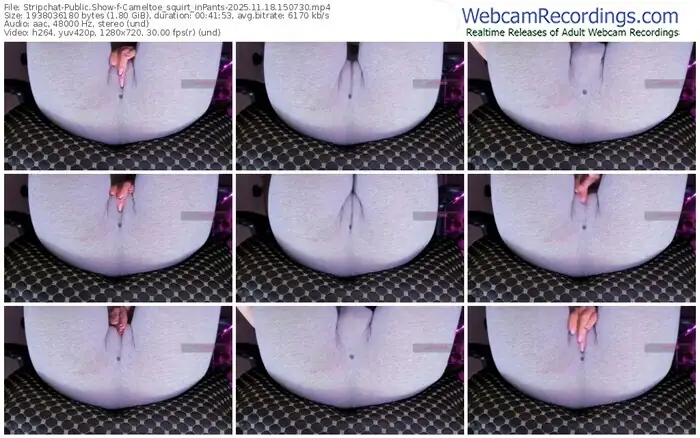 stripchat-cameltoe_squirt_inpants-11-18-2025-15-07-30