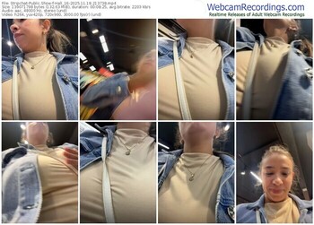 stripchat-hall_16-11-18-2025-21-37-38