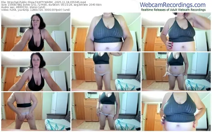 stripchat-kattywarm_-11-18-2025-05-53-45