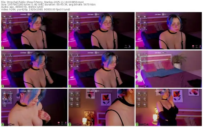 stripchat-penny_stanley-11-18-2025-03-38-59
