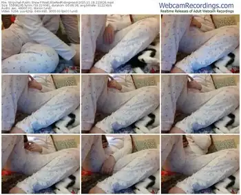 stripchat-reallittleredridinghood-11-18-2025-22-36-26