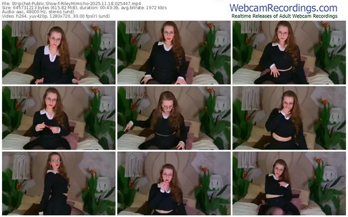 stripchat-rileymimicho-11-18-2025-02-54-47