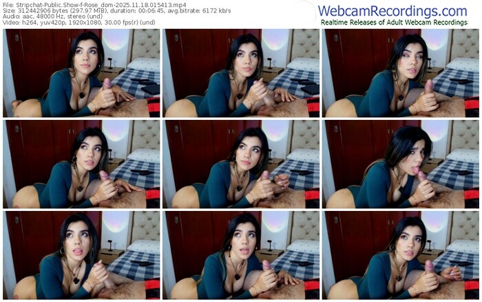 stripchat-rose_dom-11-18-2025-01-54-13