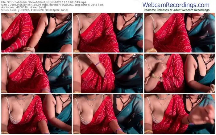 stripchat-silent_bdgirl-11-18-2025-09-13-49