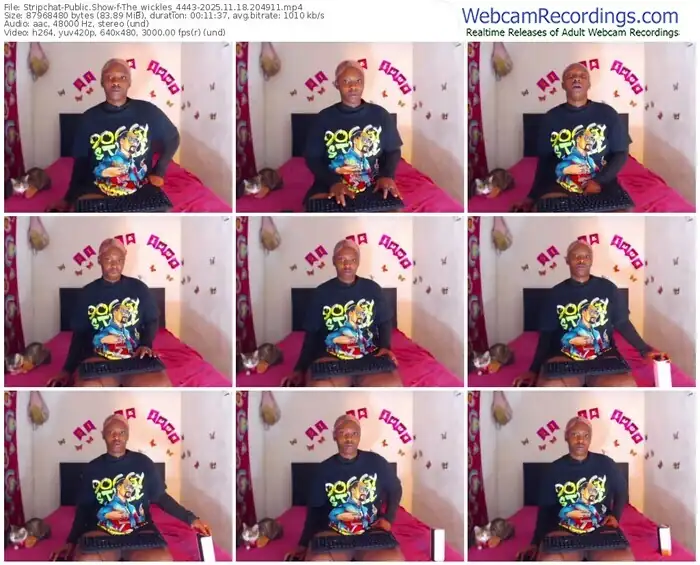 stripchat-the_wickles_4443-11-18-2025-20-49-11