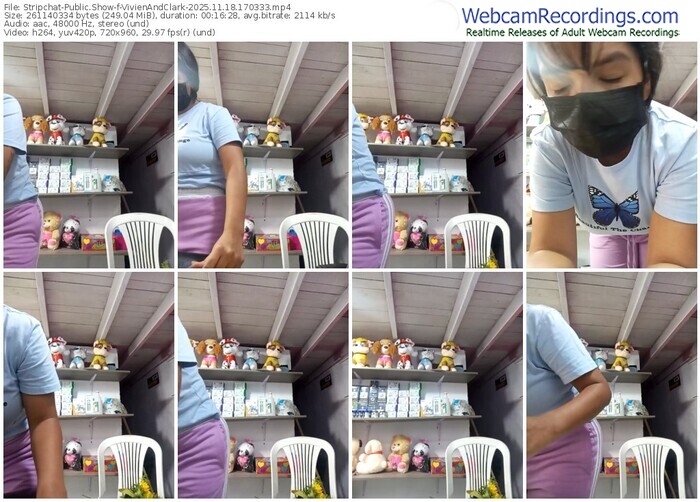 stripchat-vivienandclark-11-18-2025-17-03-33
