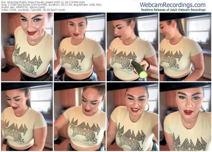 stripchat-lovely_beast-11-18-2025-17-33-56