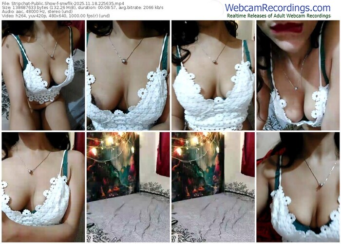 stripchat-snwflk-11-18-2025-22-56-35