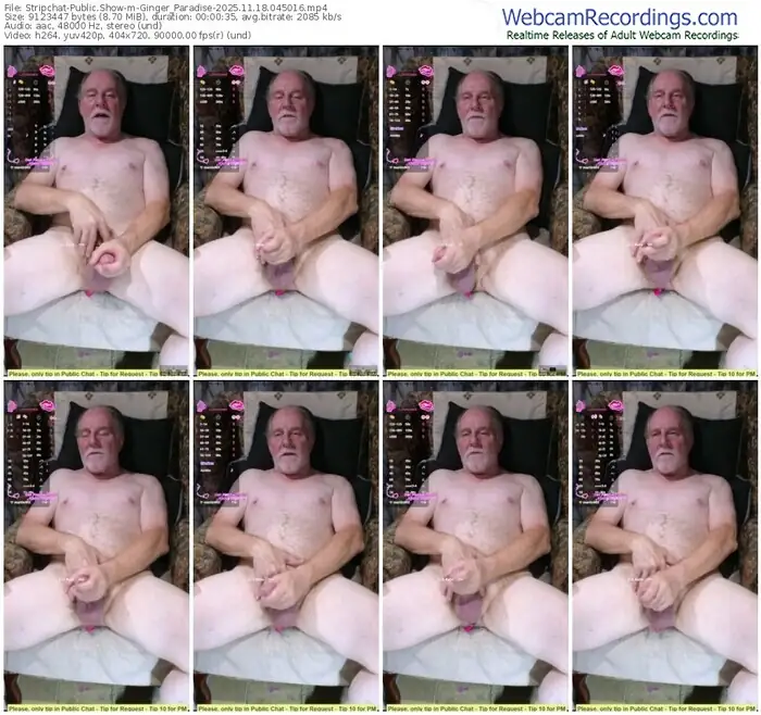 stripchat-ginger_paradise-11-18-2025-04-50-16