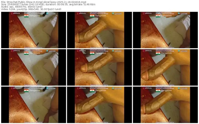 stripchat-kingcobraclassy-11-18-2025-02-44-16