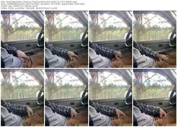 stripchat-themechanic420-11-18-2025-17-04-49