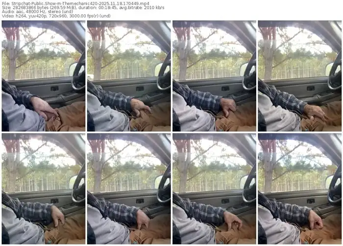 stripchat-themechanic420-11-18-2025-17-04-49