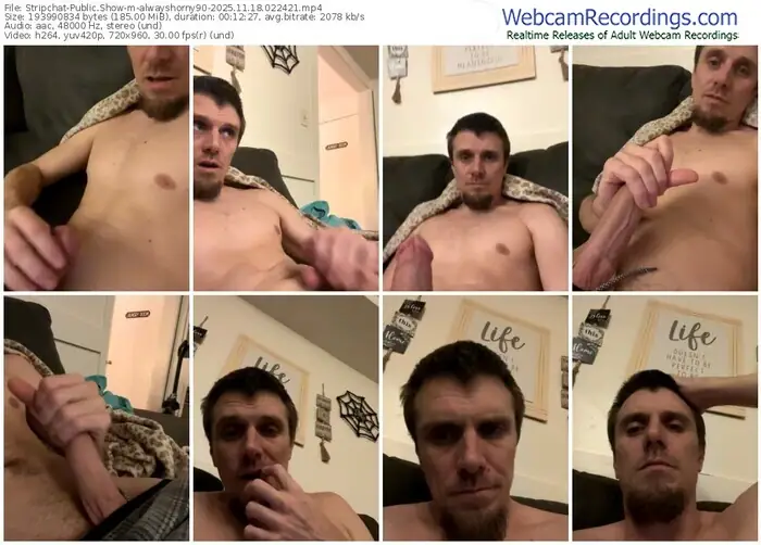 stripchat-alwayshorny90-11-18-2025-02-24-21