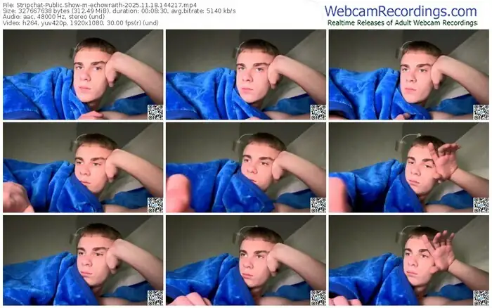 stripchat-echowraith-11-18-2025-14-42-17