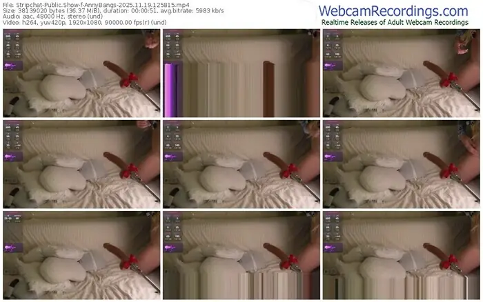 stripchat-annybangs-11-19-2025-12-58-15