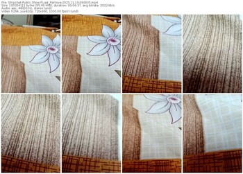 stripchat-laal_parilove-11-19-2025-09-09-35