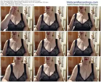 stripchat-secretfox-11-19-2025-14-27-16