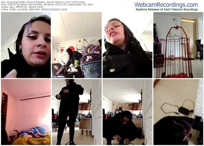 stripchat-shadow_secret-11-19-2025-17-37-02