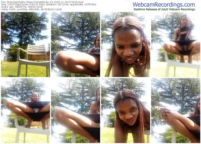 stripchat-sweetnicky_01-11-19-2025-07-32-22