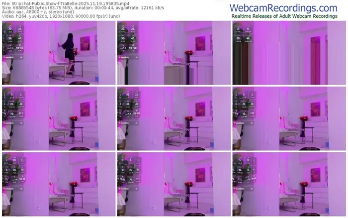 stripchat-tiabelle-11-19-2025-19-58-35