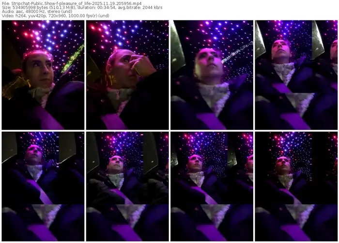 stripchat-pleasure_of_life-11-19-2025-20-59-56