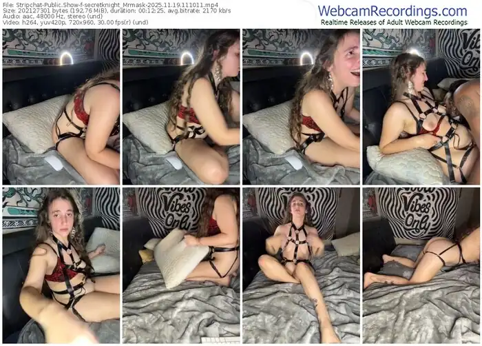 stripchat-secretknight_mrmask-11-19-2025-11-10-11