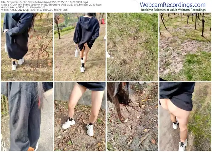 stripchat-shaoshao-7758-11-19-2025-06-08-08