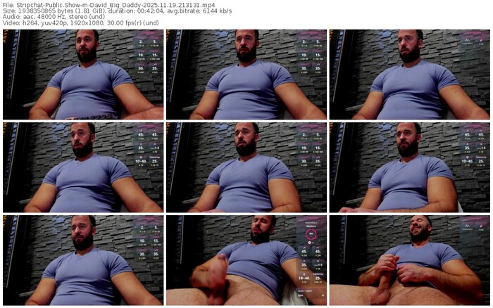 stripchat-david_big_daddy-11-19-2025-21-31-31