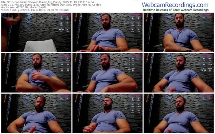 stripchat-david_big_daddy-11-19-2025-23-09-15