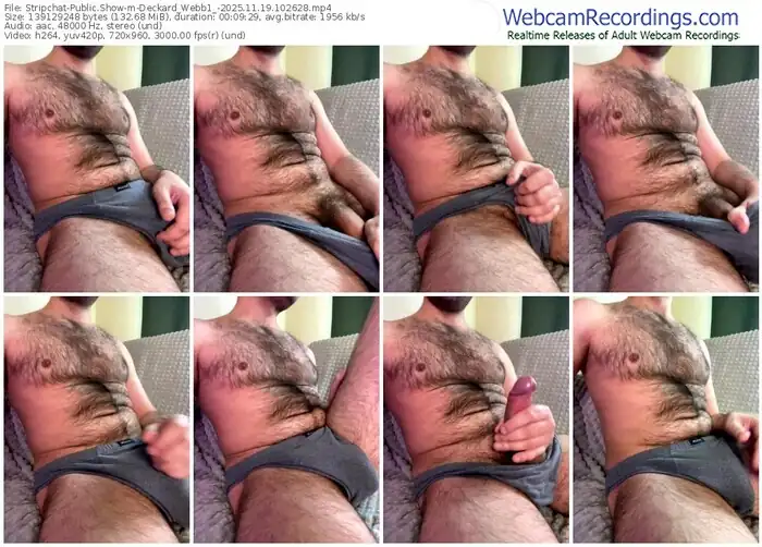 stripchat-deckard_webb1_-11-19-2025-10-26-28