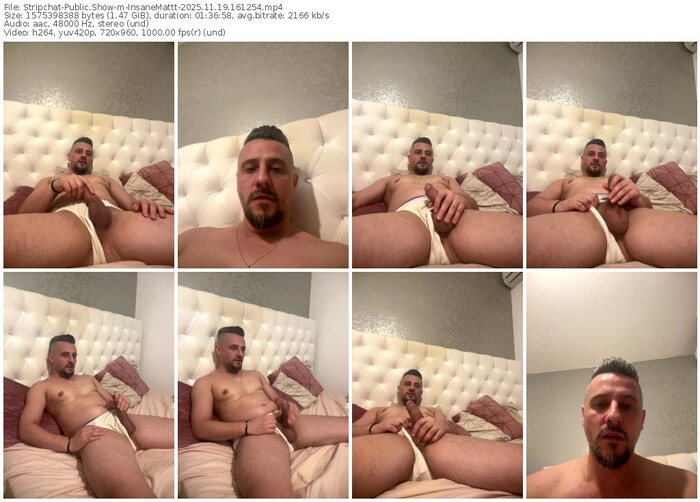 stripchat-insanemattt-11-19-2025-16-12-54