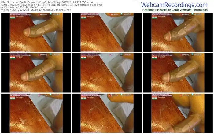 stripchat-kingcobraclassy-11-19-2025-12-28-53