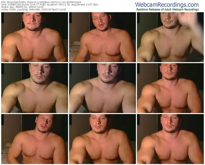stripchat-lionedwin-11-19-2025-18-18-44