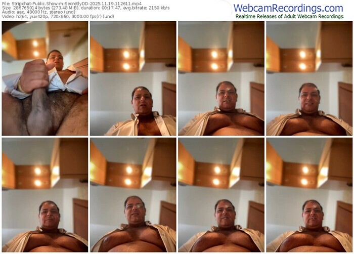 stripchat-secretlydd-11-19-2025-11-26-11