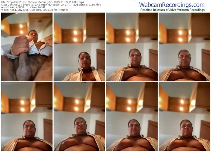 stripchat-secretlydd-11-19-2025-11-26-11